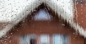 moving on a rainy day