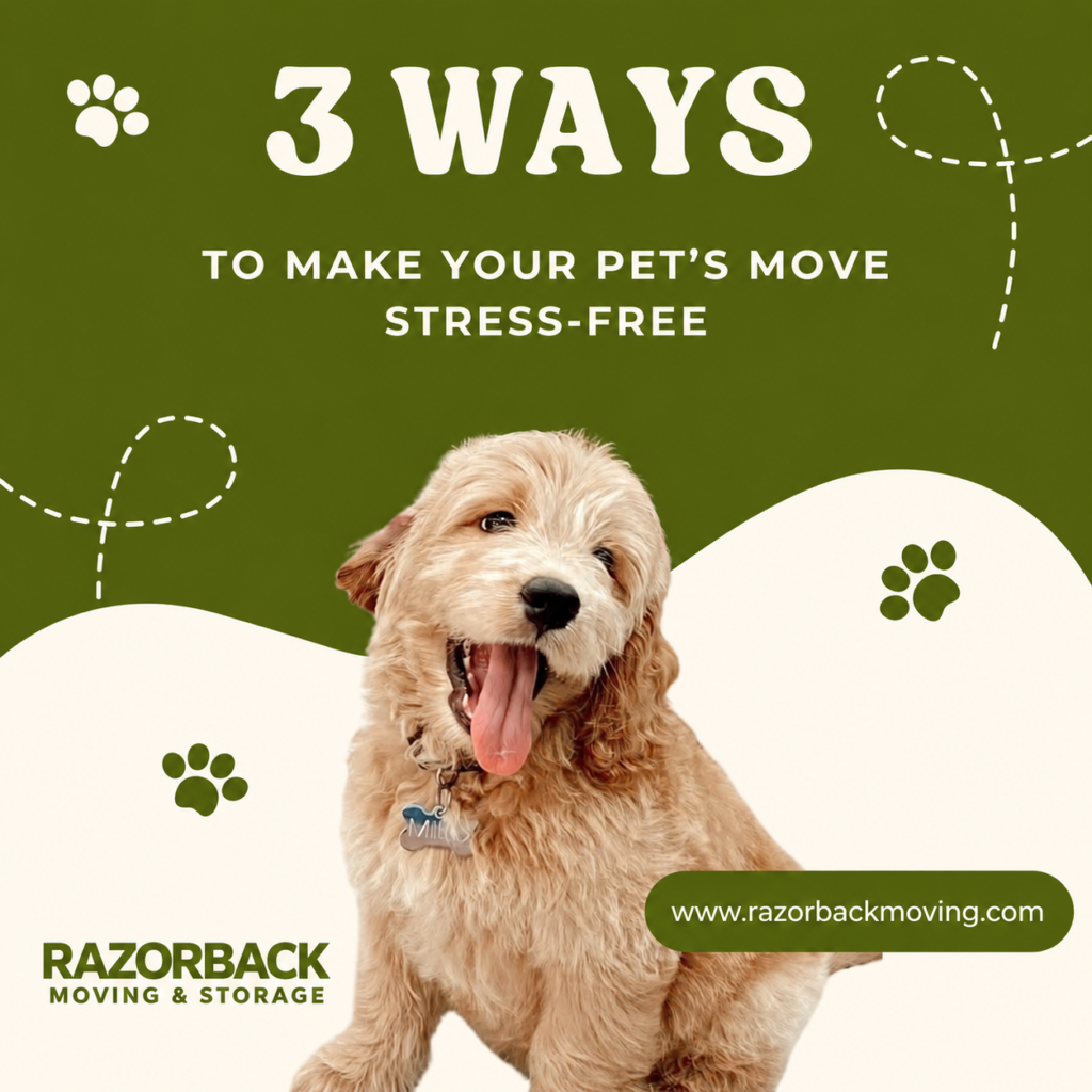 moving with pets