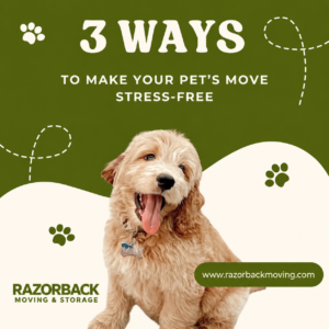 3 Ways to Make Your Pet’s Move Stress-Free